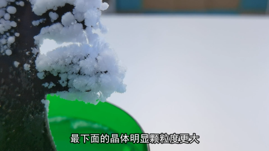 白雪纷纷何所似？撒盐空中差可拟的图8