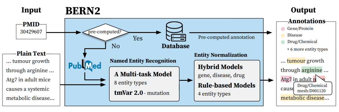 BERN2（生物医学领域）命名实体识别与命名规范化工具