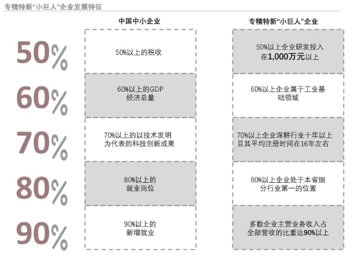 <a  data-cke-saved-href=https://seo.huaxiataike.com/item/72.html href=https://seo.huaxiataike.com/item/72.html target=_blank class=infotextkey>专精特新小巨人</a>企业发展特征