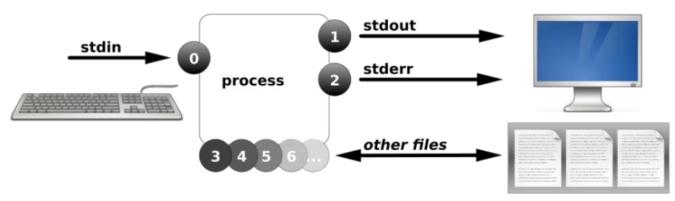 csh-shell-linux-shell-weixin-39575007-csdn