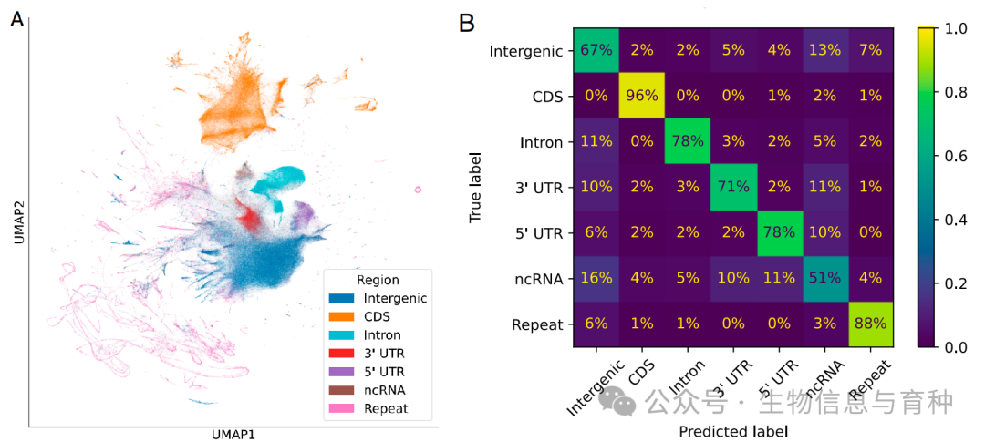 PNAS | 基因组预训练网络模型精准预测 DNA 突变_生物信息_03