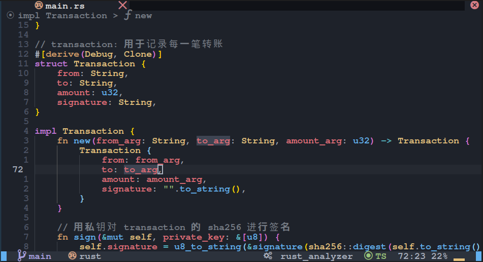 Neovim for Rust