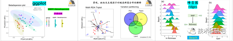 R语言生物群落（生态）数据统计分析与绘图教程