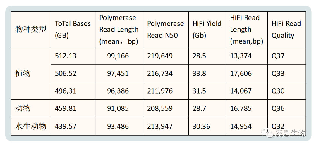 PacBio HiFi 测序动植物基因组项目真实案例测评