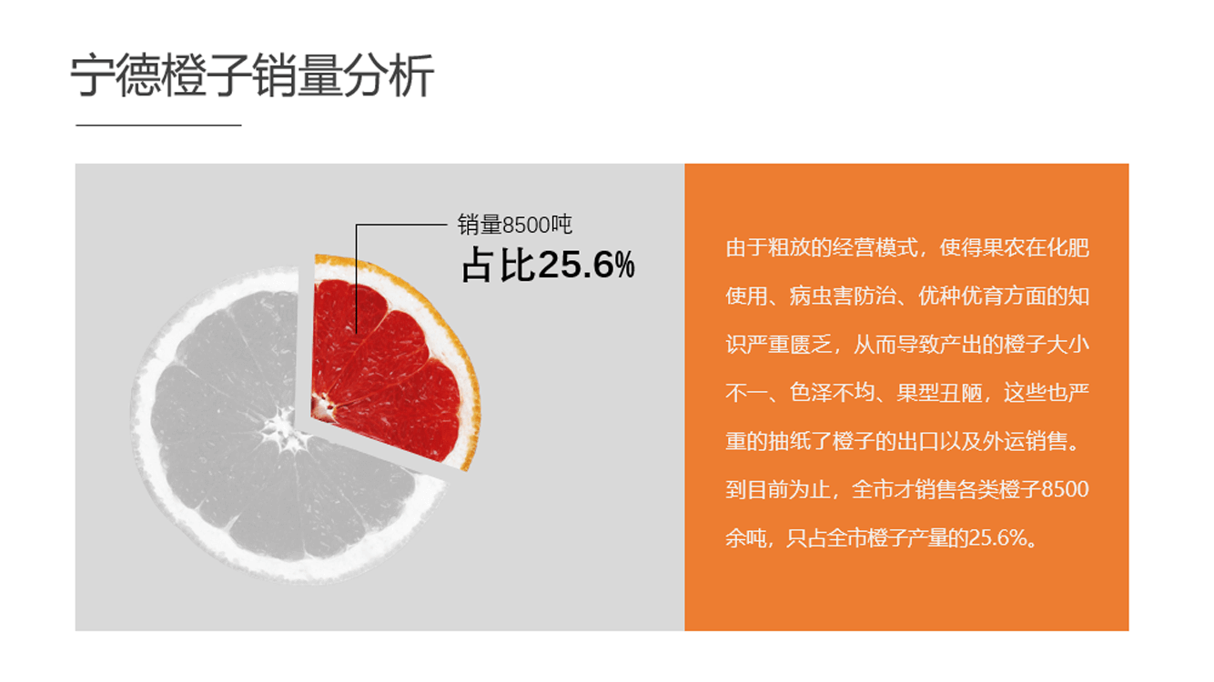 PowerPoint精美幻灯片实战教程