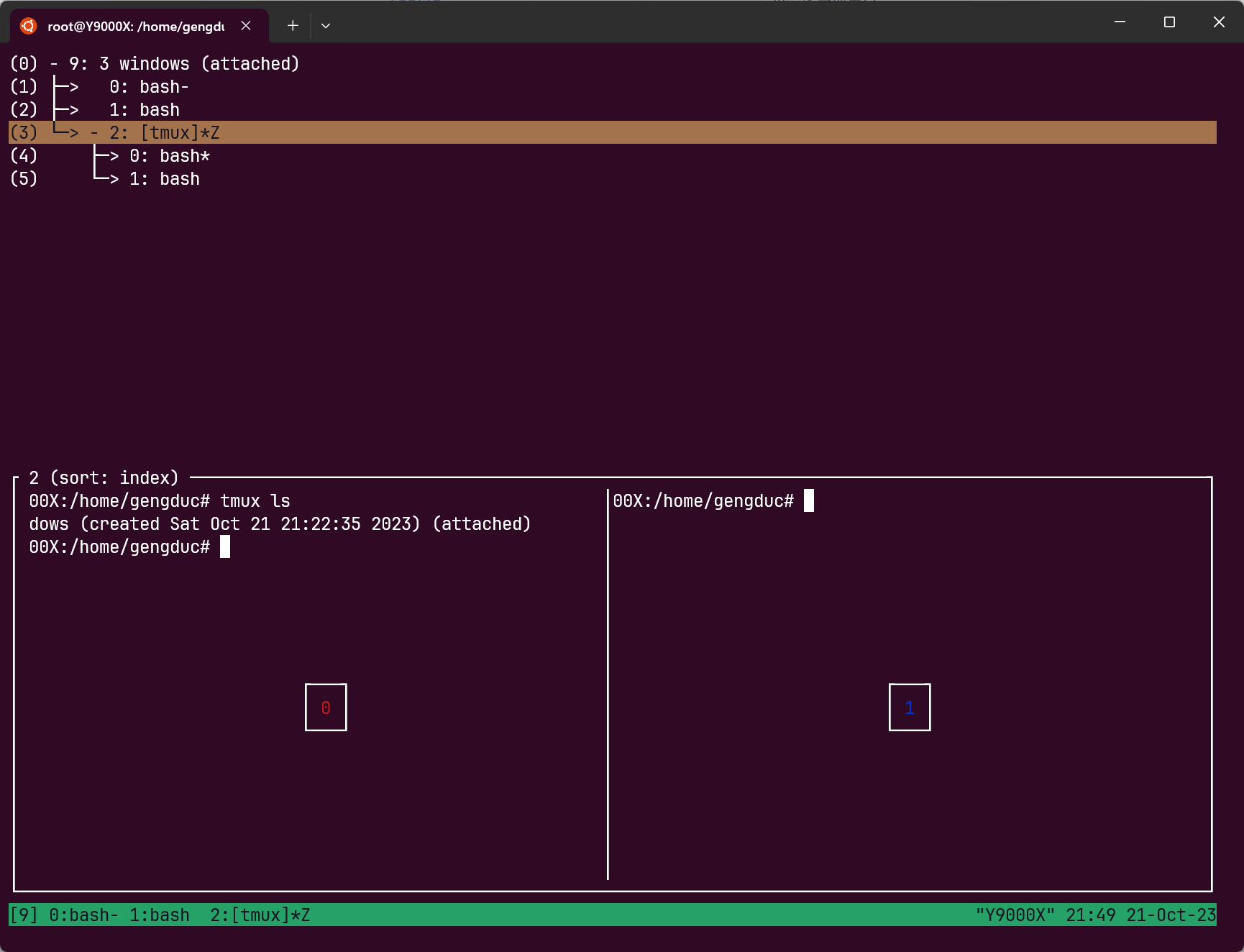 Linux tmux使用总结