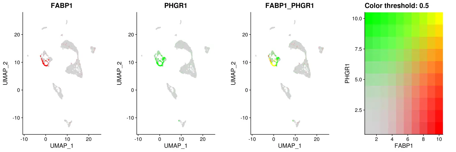 10X单细胞（10X空间转录组）之一张UMAP图同时展示两个基因的表达情况_spatia一张图上同时展示两个基因的表达-CSDN博客
