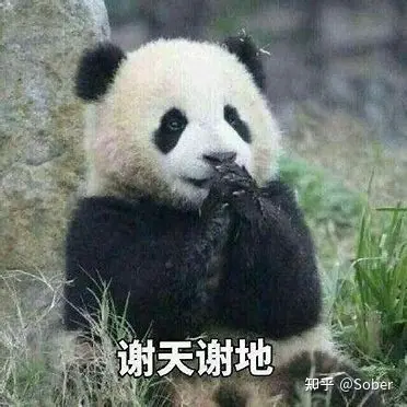 知识盲区熊猫表情包图片