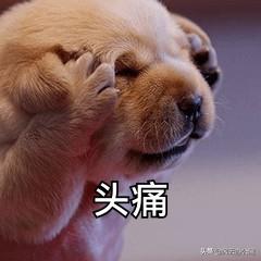 73fd1c1118d8caf759d5bd4c279f6249.png