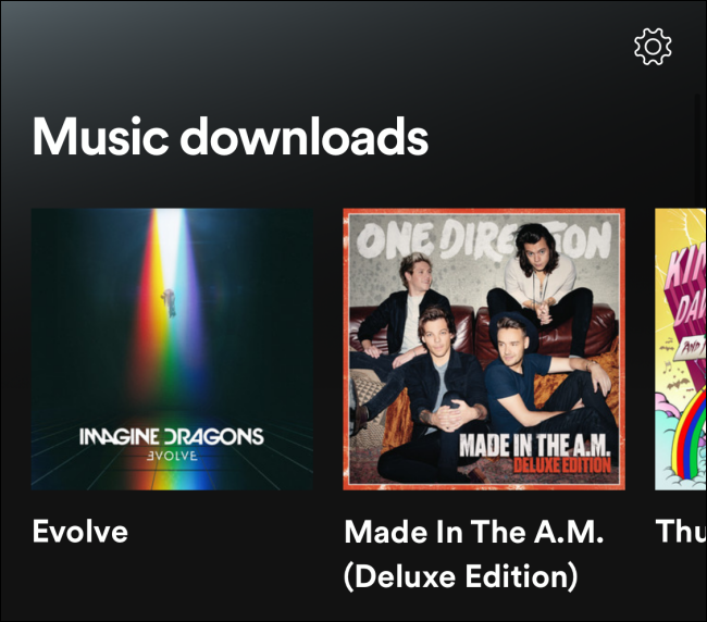 Music Downloads sections in Spotify Offline mode