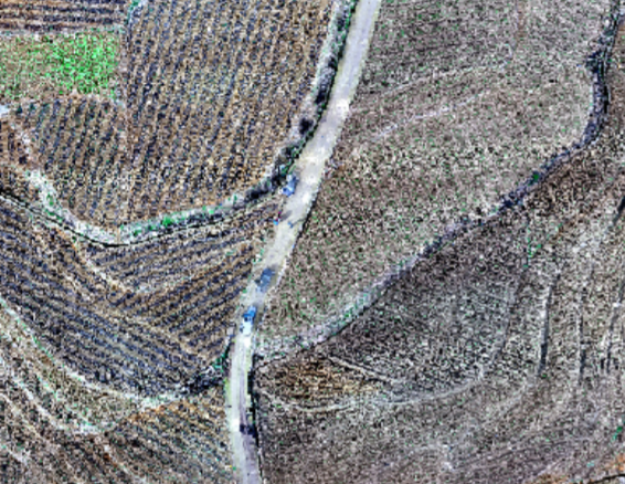 image-20221026133059098