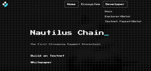 Nautilus Chain 现已推出测试网“Triton ”，有哪些潜在的机会？