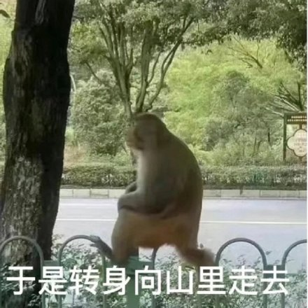 金三银四好像消失了，IT行业何时复苏