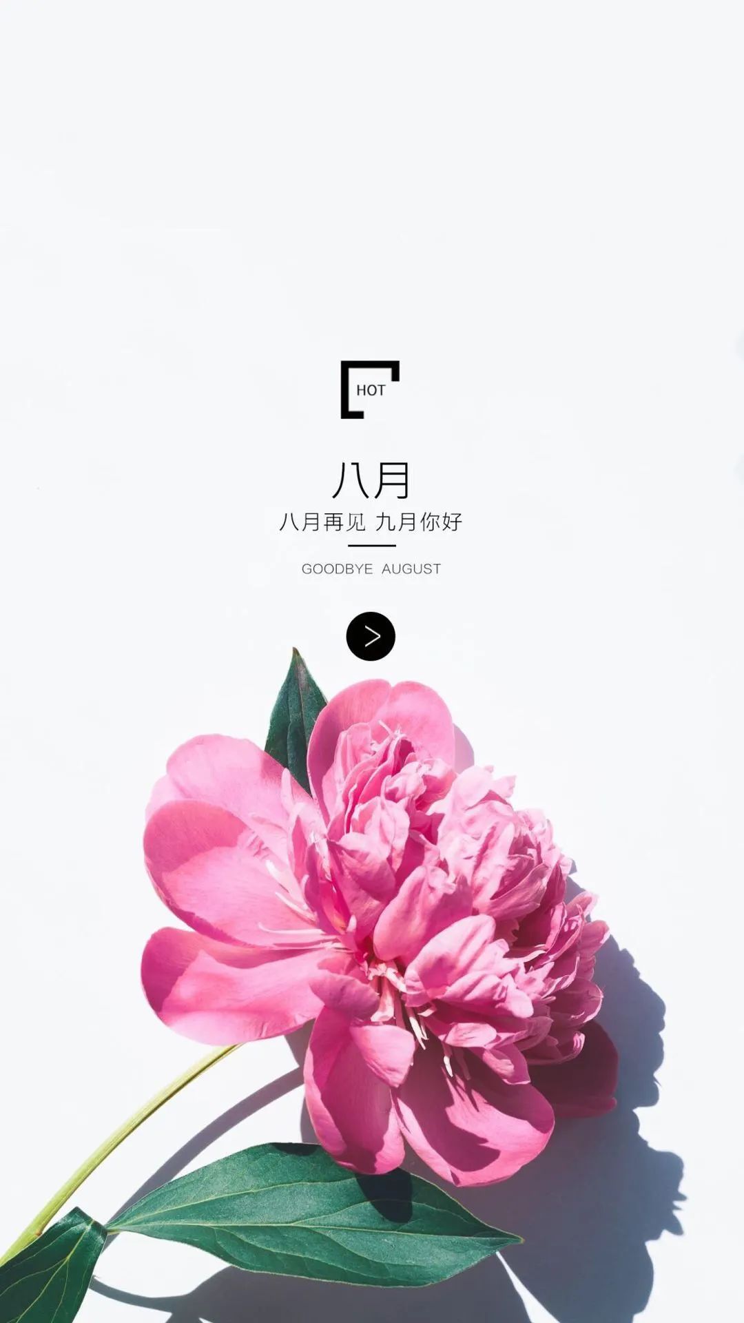 1八月再见,九月你好