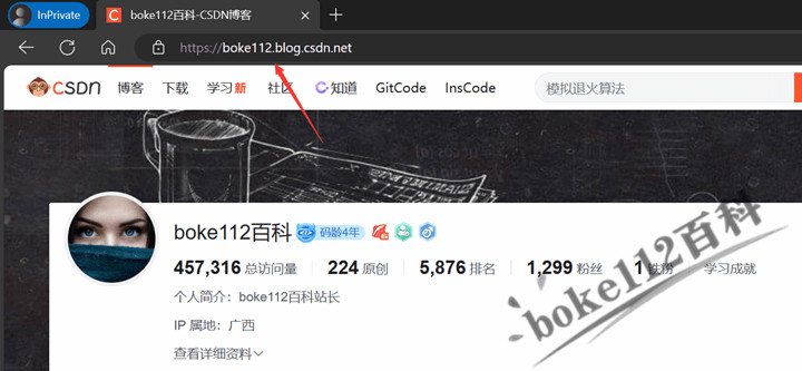 历尽千辛万苦，终于将CSDN博客等级提升到6级，拥有了自定义域名-第3张-boke112百科(boke112.com)