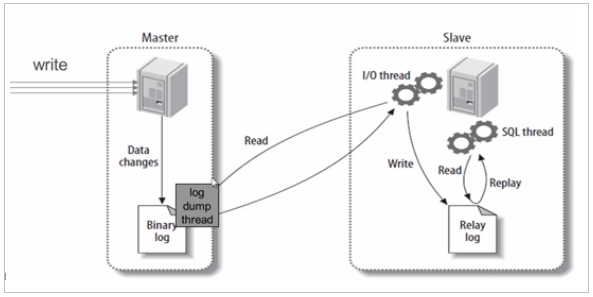 Docker搭建MySQL主从同步（全网最全保姆教程）