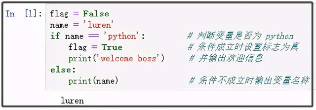 python中if函数_if 函数 在不同的语言中是如何分别使用的-CSDN博客