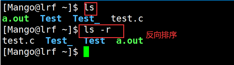 image-20220224204156955