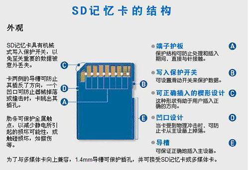 STM32——SDIO的学习（驱动SD卡）（理论篇）