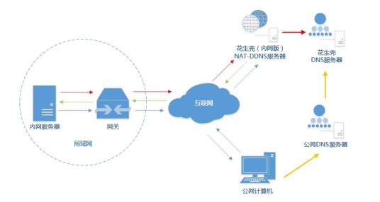 花生壳内网穿透拓扑图