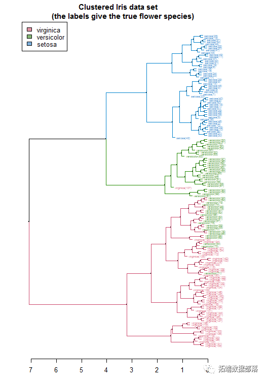 R语言k-means聚类、层次聚类、主成分（PCA）降维及可视化分析鸢尾花iris数据_数据_10