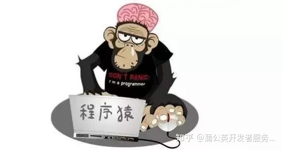 程序员的日常生活都是什么样的？有哪些不为人知的地方？