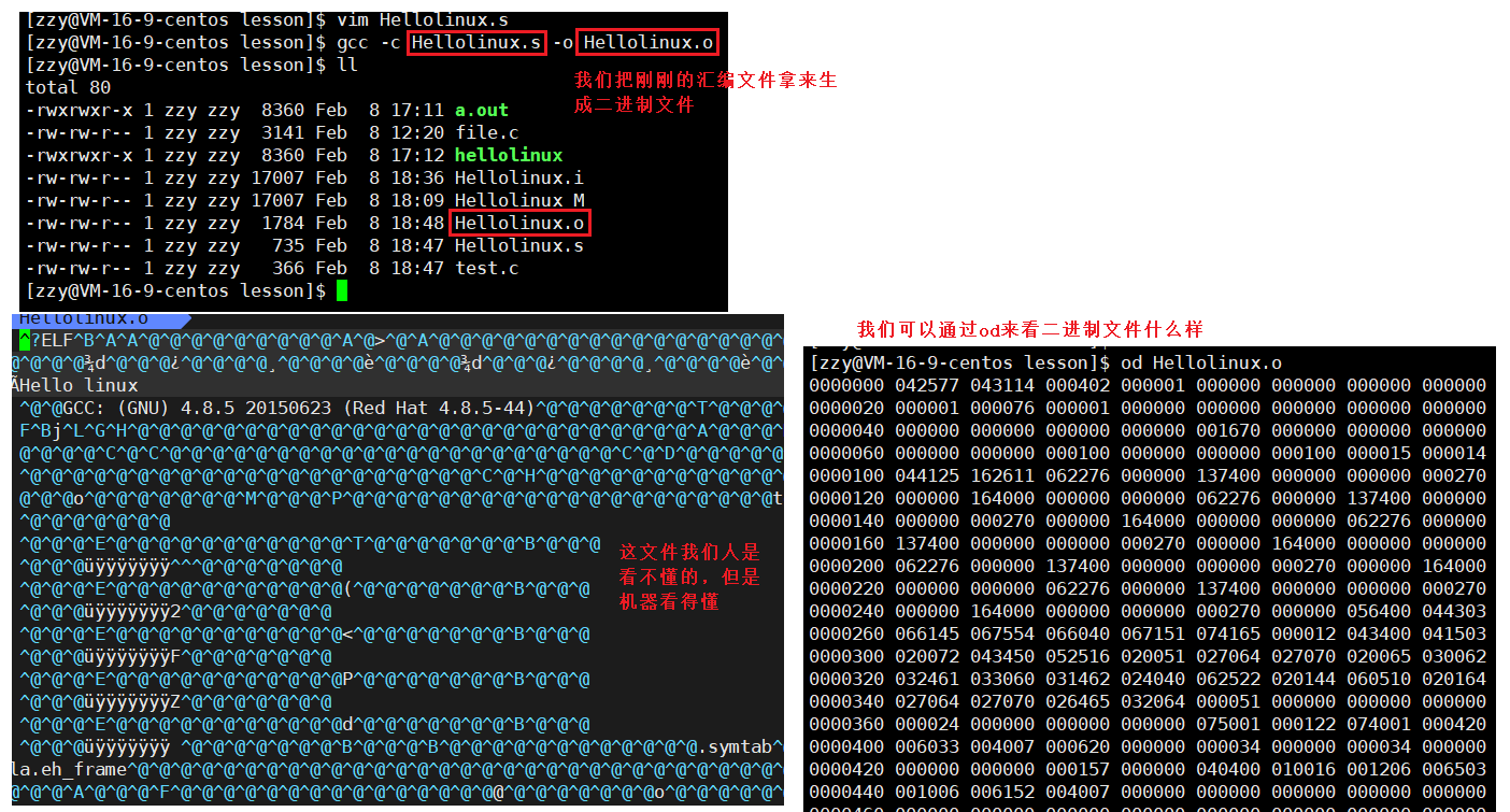 image-20220208185548861