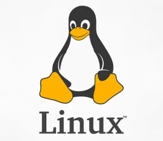 Linux常用命令——zip命令