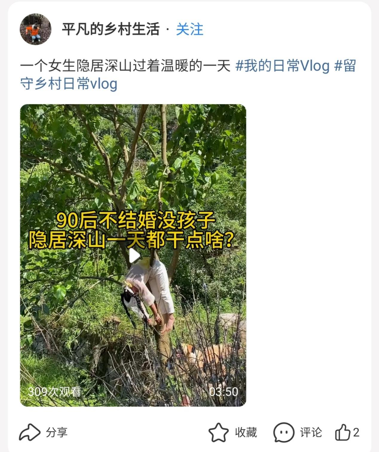 不愿回流上班，离职博主们不断寻找新的“栖息地”_微信_09