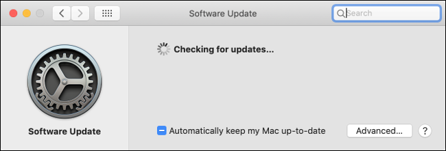 The "Software Update" pane in macOS.