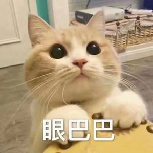 超越swagger-ui，这款API 接口文档工具运行更快，更高效