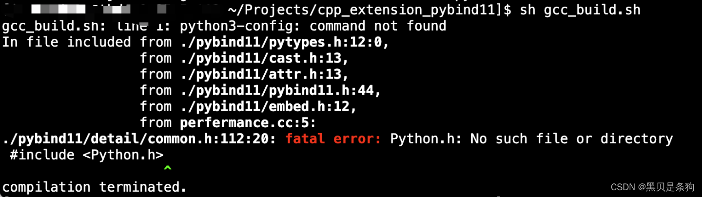 C++ 与 Python相互调用_c++调用python库-CSDN博客
