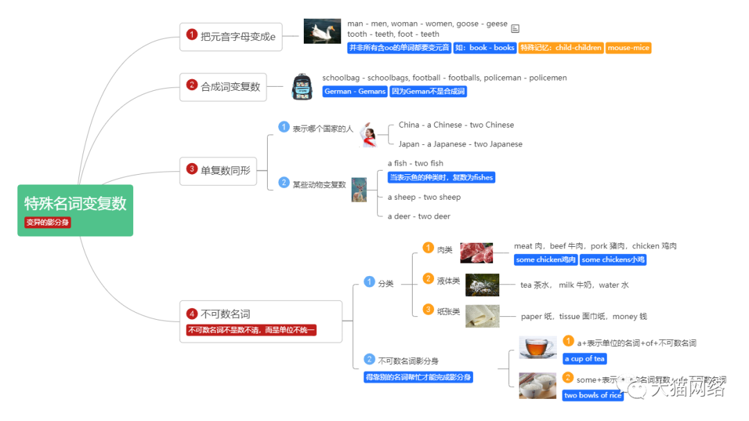 少儿英语-思维导图学语法-特殊名词变复数