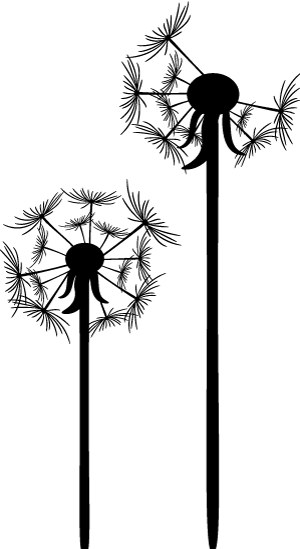 765036d37921a57e2052268d4055af70.png