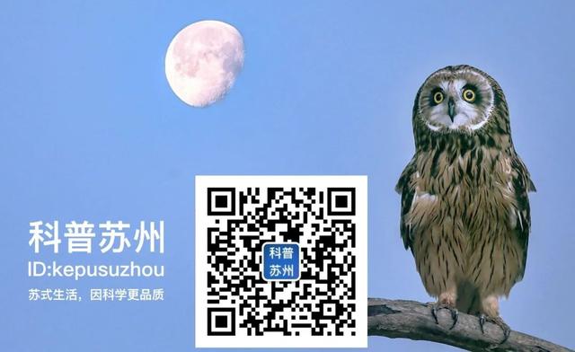 76942c731ac265cde01a5c809be6842b.png