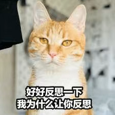 771206f9bcde76b562176592ab6966c3.png