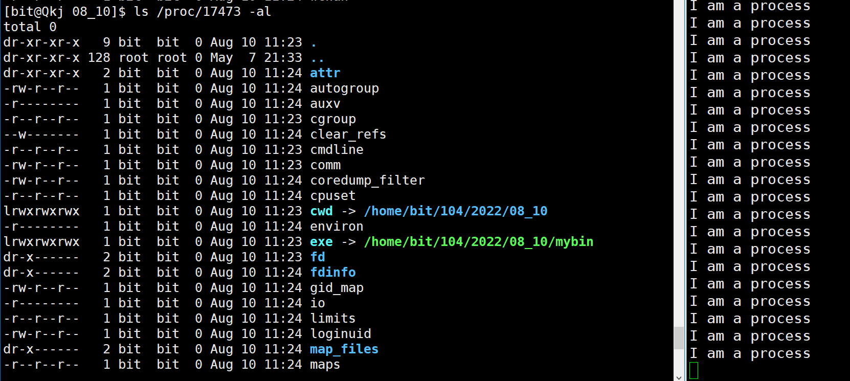 image-20220810112505634
