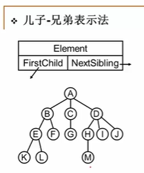 儿子兄弟表示法