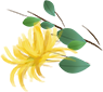 77b8e516a857e6e04ebc05290f286bec.png