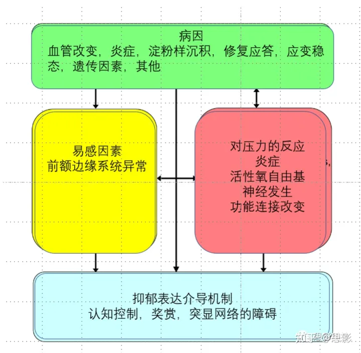 老年期抑郁症的机制及治疗