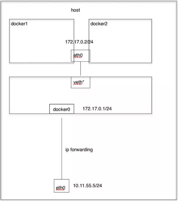 docker container network