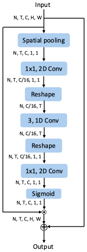 动作识别最新高效利器 ACTION-Net：通用的多路径激活模块 | CVPR 2021