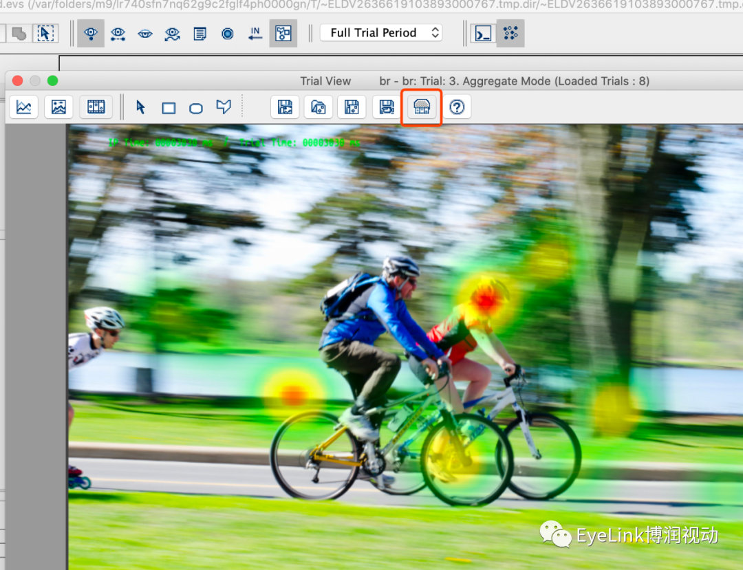 eyelink data viewer允许您创建注视图(fixation map),基于单个被试或