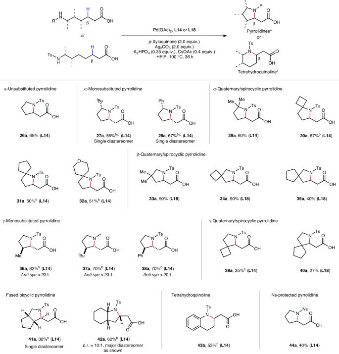 展示了不同结构的环胺化反应的底物适用性.