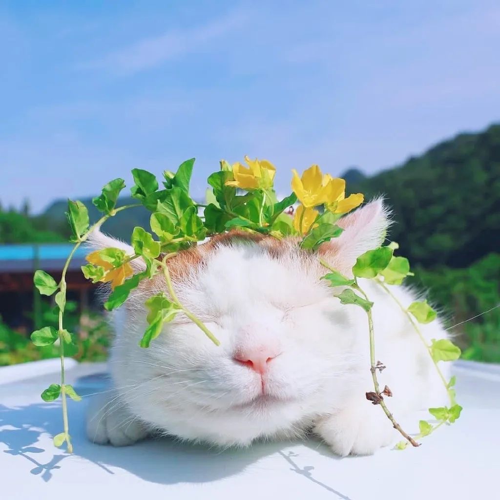 微信推送封面尺寸_非常好看的微信朋友圈封面图片大全 让来看你朋友圈