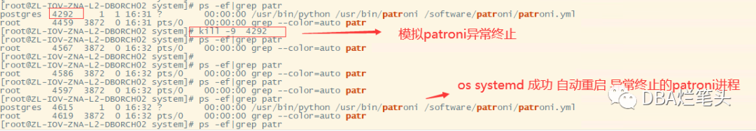 PostgreSQL Patroni_exporter 监控 patroni高可用工具