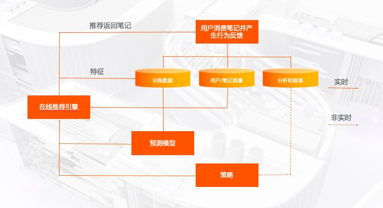 小红书信息结构图图片