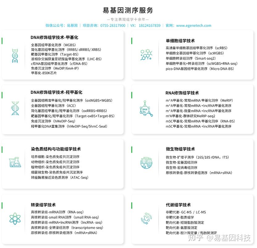 易基因｜干货：m6A RNA甲基化MeRIP-seq测序分析实验全流程解析