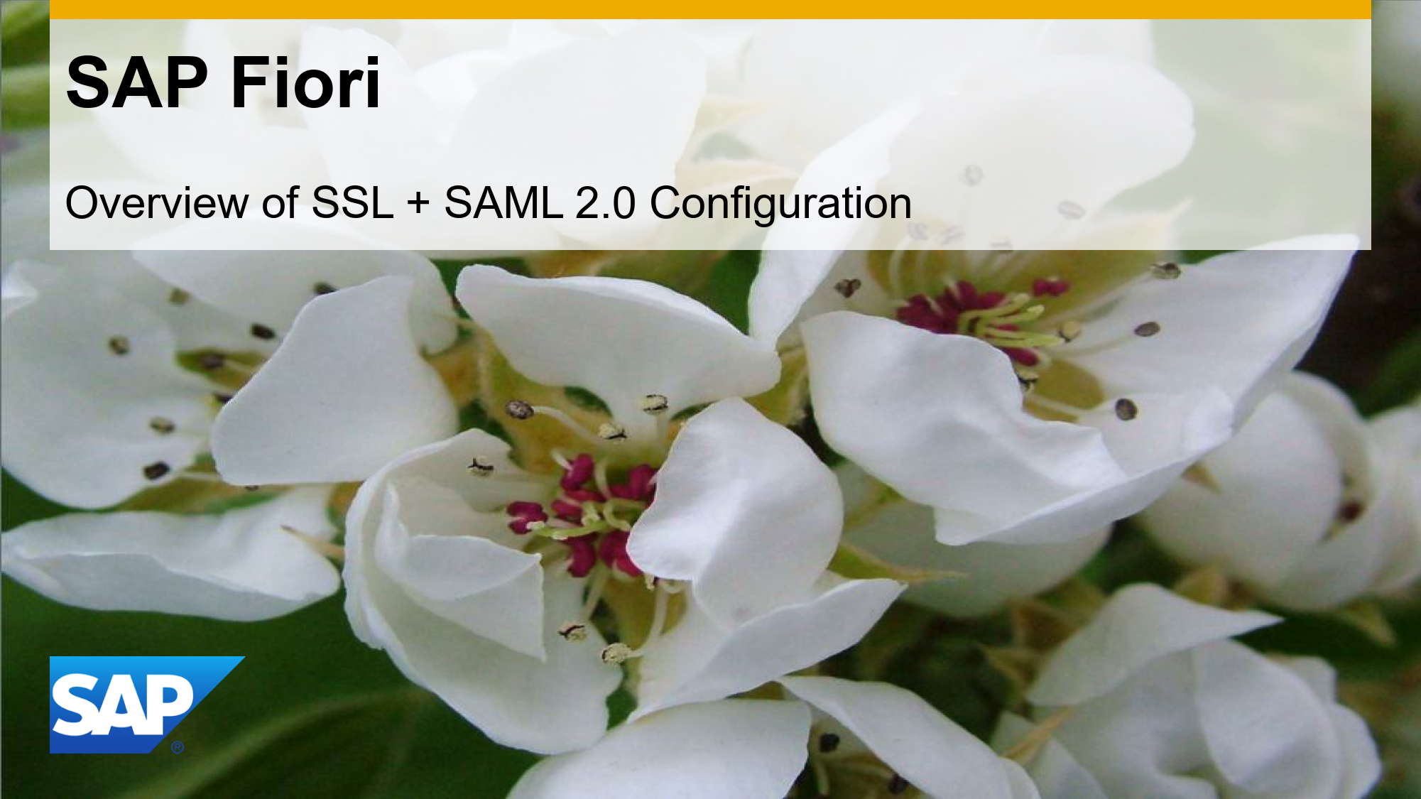 SAP Fiori SSL SAML Overview_01.png