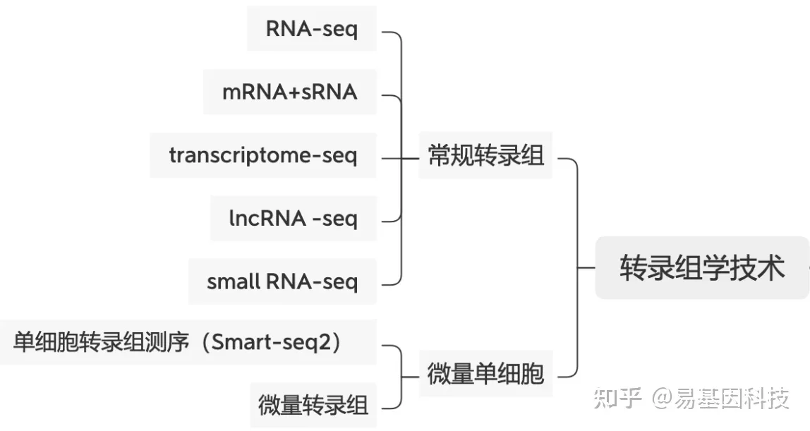 易基因：De novo组装和转录组表征：东方田鼠原发性卵巢癌机制新见解｜项目文章